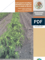 3984 Manual del paquete tecnológico de altos rendimientos en el cultivo de papaya.pdf