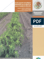 3984 Manual Del Paquete Tecnológico de Altos Rendimientos en El Cultivo de Papaya PDF