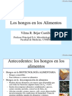 Hongos-alimentos 2016