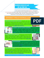 Cell Junctions