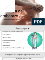 Fisiologia Del Embarazo