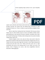 Patofisiologi BPH, Kasus No 2, 3 (Vinsen 14-86).Doc