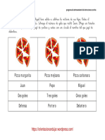 programa-de-entrenamiento-de-instrucciones-escritas-fichas-1-10.pdf