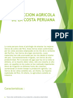 Producción agrícola costera peruana
