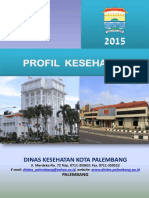 Profil Kesehatan 2015 PDF