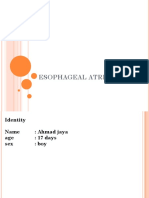 Esophageal Atresia Type C