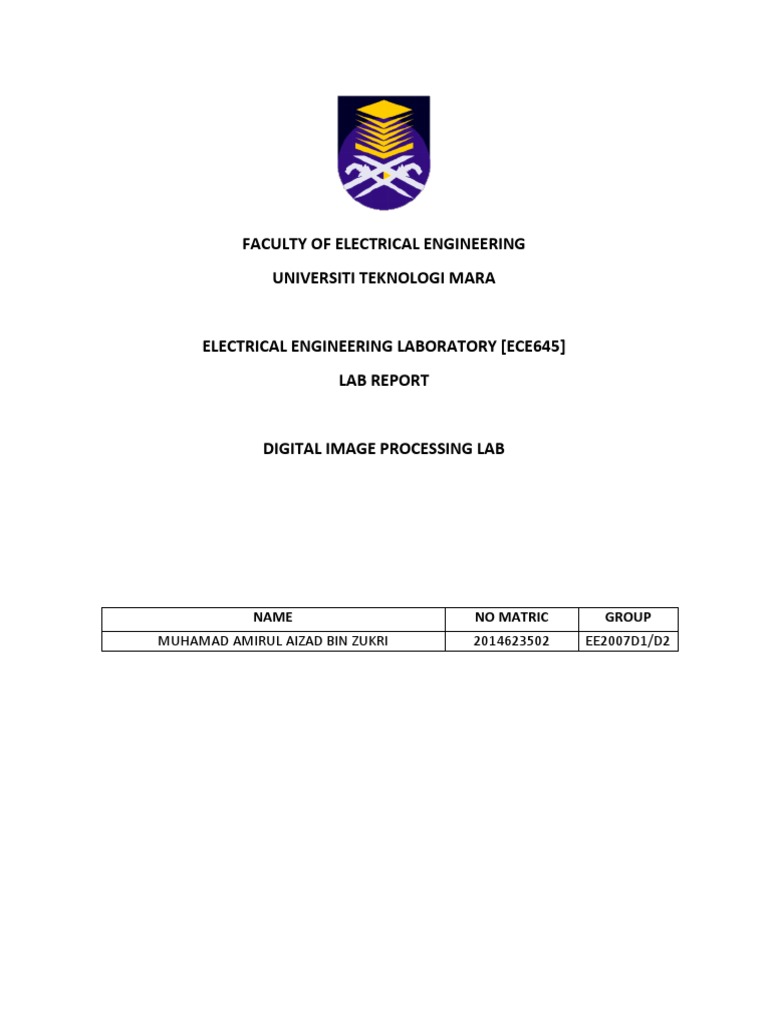 Lab Image Processing PDF Image Segmentation Vision