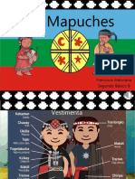 Los Mapuches