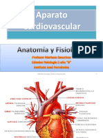 Anatomía y Fisiologia Del AP. Cardio Vascular