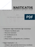 Struktur Anatomi Regio Mastikator
