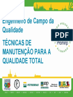 Manutenção_Campo_Qualidade - slides.pdf