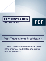 Glycosylation: The Third Group