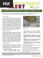 Download Agronomic ALERT - Sudden Death Syndrome in Soybean - Northern US 2 by Monsanto Company SN36430483 doc pdf