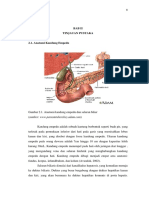 Anatomi Kantung Empedu.pdf