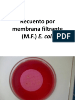 3recuento Por Membrana Filtrante (M.F.) E. Coli