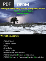 Radio Frequency Team Etisalat Egypt: Orthogonal Frequency Division Multiplexing For LTE