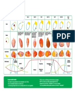 ciclo_reproduccion_bovina.pdf