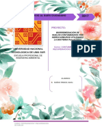 Proyecto.pdf