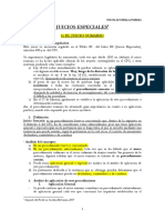 6.a Juicio ejecutivo y procedimientos especiales.pdf
