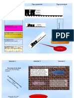 Triptic Que Podem Fer