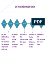 Timelinepdf 1