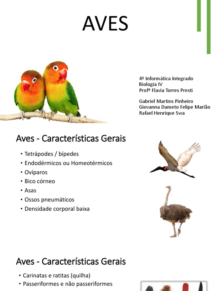 Características e sistemas das aves | PDF