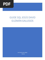 Jesús David Guzmán Gallegos Tesselar