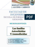 4 Micropaleontologia Aztrorhizidae