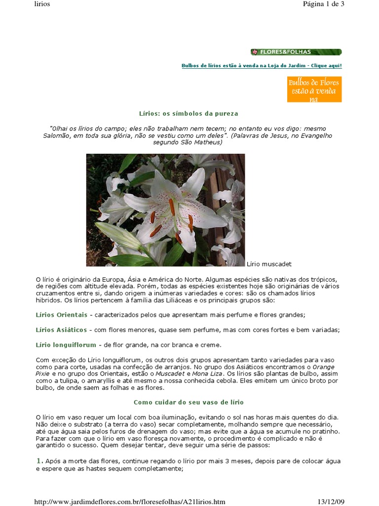 Lirio PDF | PDF | Terra | Demanda