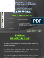 9-Familia peneroplidae.pptx