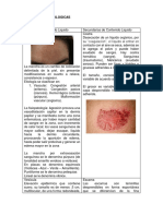 Lesiones Dermatologicas