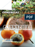 PERFIL COMERCIAL granadilla.pdf