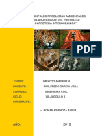 290682529-RESUMEN-CARRETERA-INTEROCEANICA-pdf.pdf