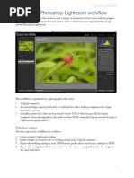 Download lightroom-workflow by Erick Lazarte SN36435779 doc pdf