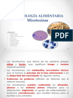 TOXICOLOGÍA ALIMENTARIA Micotoxinas