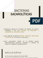Bacterias Sacaroliìticas