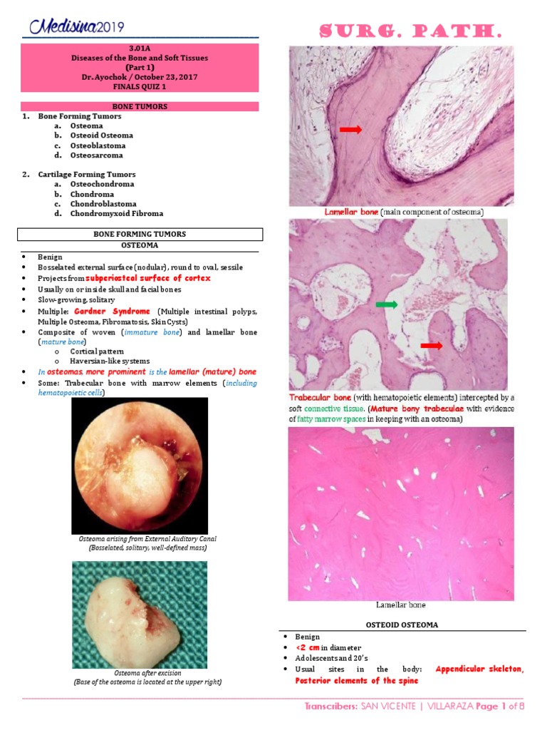 Bone and Soft Tissue Tumors Overview | PDF | Bone | Neoplasms