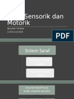 Jaras Sensorik Dan Motorik - Wildan