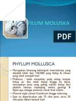Filum Moluska2