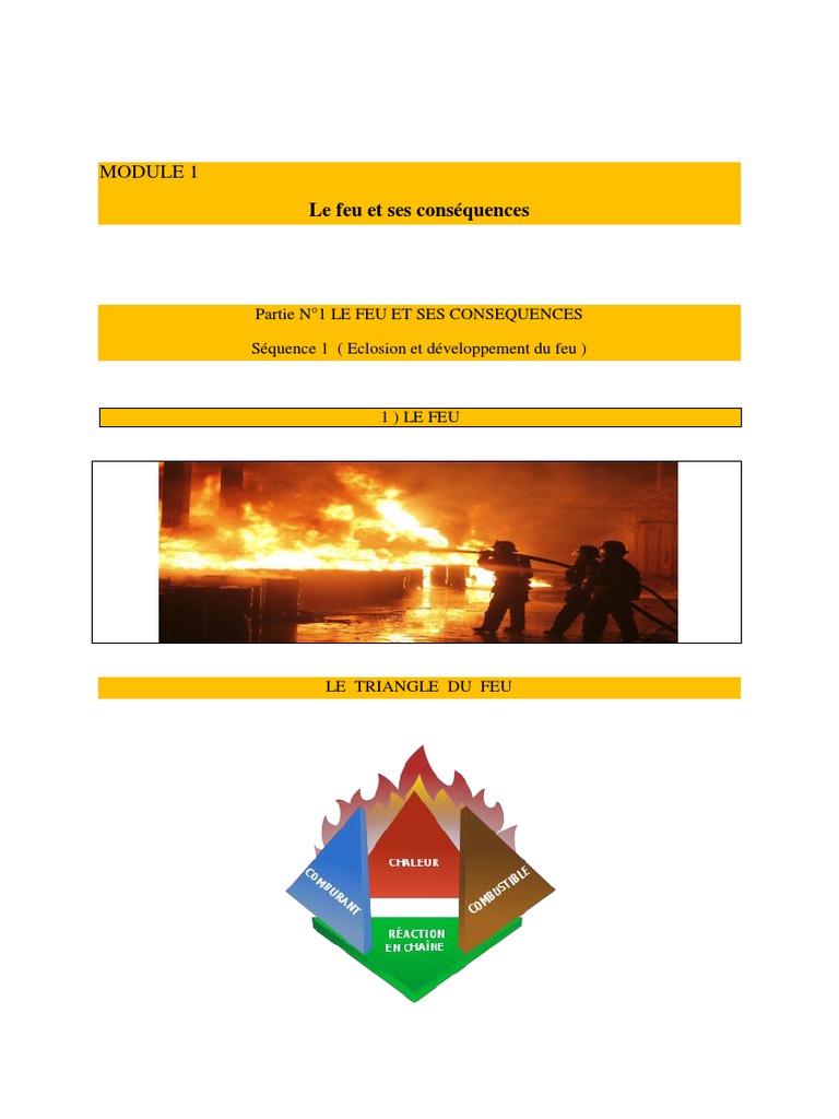comprendre-le-feu-et-ses-dangers-pdf-combustible-la-combustion