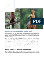 Burung Elang Jawa