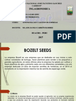 Modelo de Negocio Empresa Bozelt