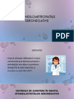 Spondiloartropatiile Seronegative