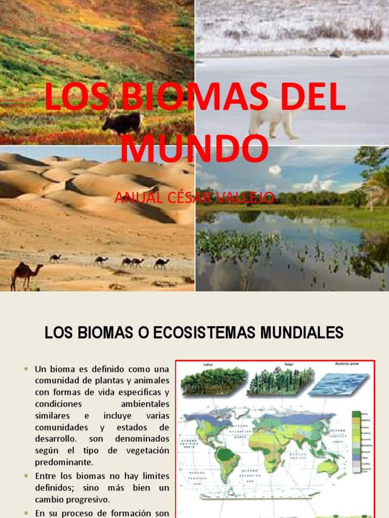 Biomas Del Mundo | PDF | Reno | Desierto