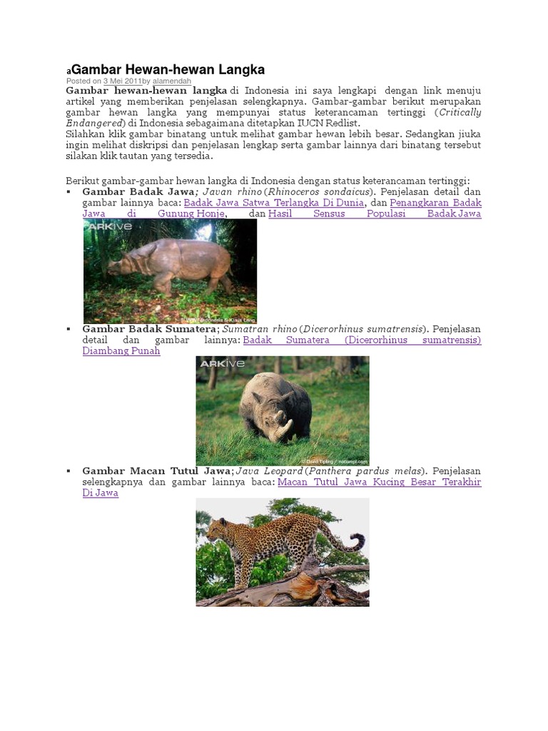 45+ Gambar Hewan Dan Penjelasan Terbaru