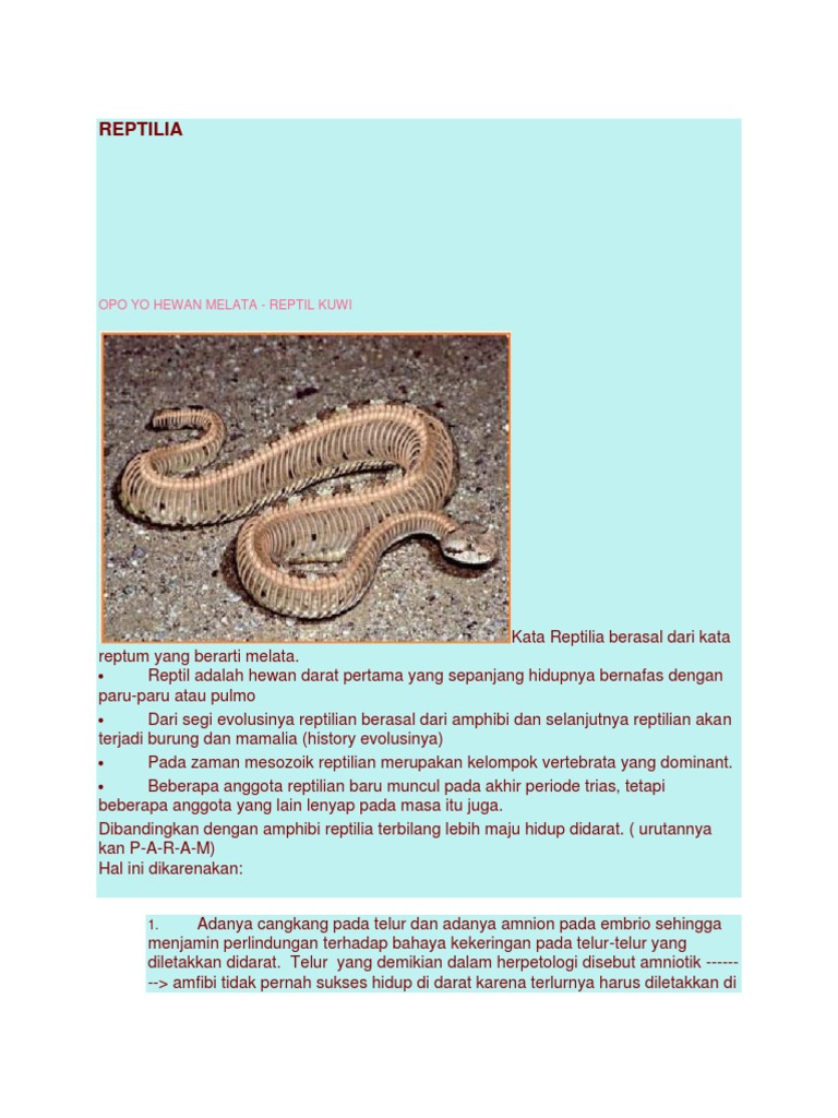 Mengapa Reptil Sering Disebut Hewan Melata Coba Sebutkan Mengapa Reptil Sering Disebut Hewan Melata Coba Sebutkan