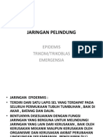 Jaringan Pelindung