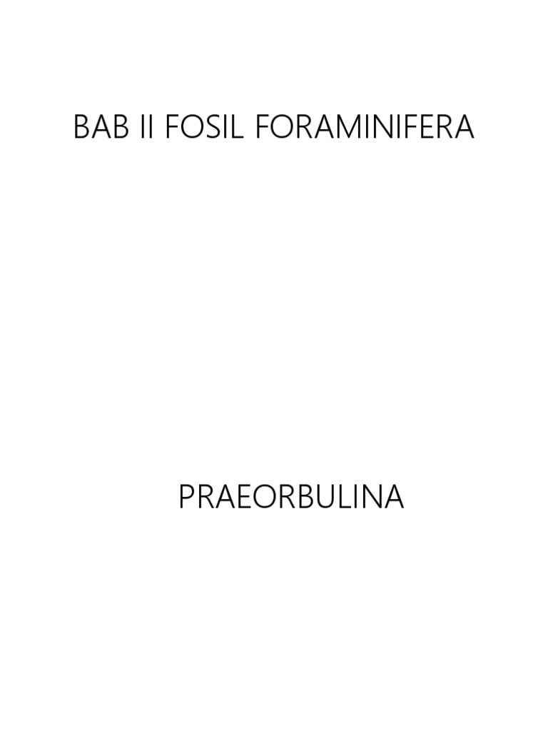 Characteristics and Classification of Foraminifera Fossils PDF