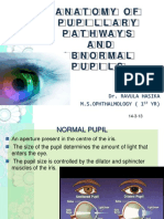 Anatomy Pupillary Pathways AND Abnormal Pupils: Dr. Ravula Hasika M.S.Ophthalmology (1 YR)