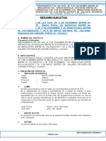 1 Resumen Ejecutivo Jr. 9 de Diciembre.doc